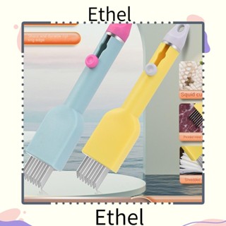 Ethel1 เครื่องตัดปลาหมึก สปาเก็ตตี้ สเตนเลส ปรับได้ พับเก็บได้