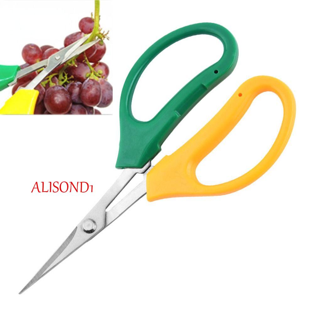 Alisond1 กรรไกรแต่งกิ่ง อเนกประสงค์ ประหยัดแรงงาน สําหรับสวนและองุ่น