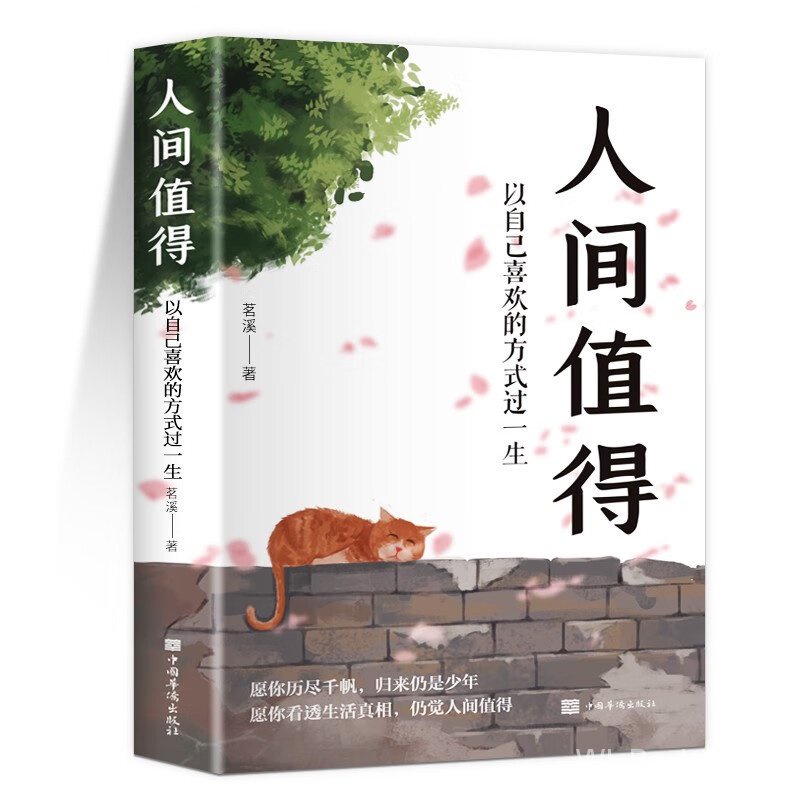 人间值得 正版以自己喜欢的方式过一生励志书籍初高中生人生正能量励志学书籍03