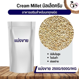 Creamy Millet มิลเล็ต ครีมมี่ อาหารนก กระต่าย หนู กระต่าย กระรอก ชูก้า และสัตว์ฟันแทะ (แบ่งขาย 250G / 500G / 1KG)