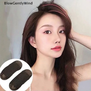 Blowgentlywind กิ๊บติดผมฟองน้ํา ขนปุย สําหรับจัดแต่งทรงผม 2 ชิ้น ต่อชุด BGW