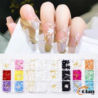 Glanxuan DIY 3D ลูกปัดโลหะ รูปกลีบดอกไม้ 6 ช่อง คละสี สําหรับตกแต่งเล็บ Nail Kits