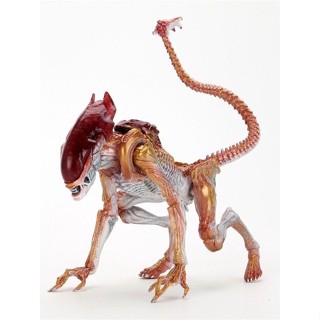 Neca 51715 โมเดลฟิกเกอร์ Alien Cougar Kenne Tribute 23 ซม. QKEJ