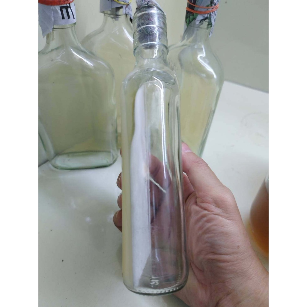วุ้น PDA (POTATO DEXTROSE AGAR) นึ่งฆ่าเชื้อแล้วพร้อมใช้’ สำหรับเพาะเชื้อเห็ดหรือเชื้อรา #PDA #วุ่น PDA #เชื้อเห็ด ราคา ถูกที่สุด ดีลบีเคเค แกลเลอรีภาพที่ 8