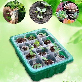 UHomee Seed Starter Tray ถาดเพาะต้นกล้าพลาสติกใสสำหรับทำสวนพืชสวน