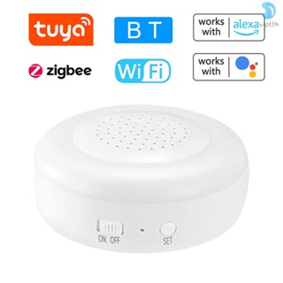 I-multi-functional เกตเวย์สัญญาณเตือน 2.4G WIFI Zigbee 3.0 BLE และ Beacon Sub-devices อเนกประสงค์ พร้อม Google Home ควบคุมด้วยเสียง