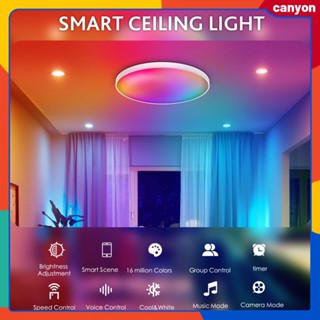 15w RGB หรี่แสงได้ Wifi สมาร์ทไฟเพดาน Led สมาร์ทโฟน App ควบคุมเวลาฟังก์ชั่นความสว่าง Adjstable รองรับการควบคุมด้วยเสียงแคนยอน