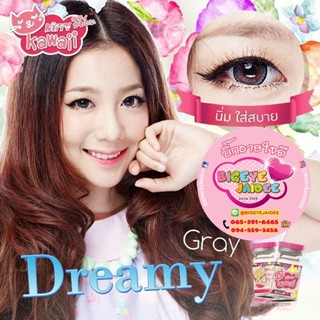 KittyKawaii Dreamy Eff.19 Gray ใหญ่