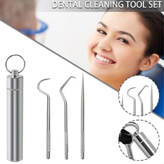 Portable Stainless Steel Toothpicks Set Reusable Metal Toothpick Tools