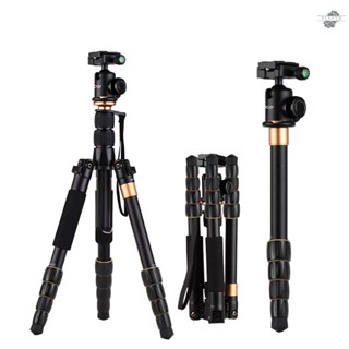 {fly} Andoer Portable 5-Section Adjustable Camera Camcorder Video Tripod Detachable Monopod Aluminum Alloy Material with Ball Head Carrying Bag Compatible with    Pan