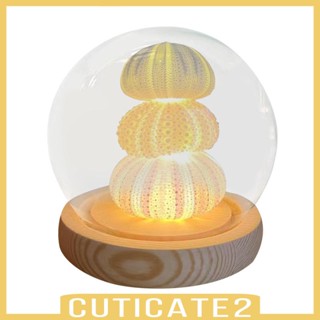 [Cuticate2] โคมไฟกลางคืน DIY สําหรับตกแต่งห้องนั่งเล่น