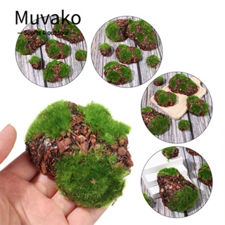 Muvako หินมอส สีเขียว สําหรับตกแต่งสวน ภูมิทัศน์ ขนาดเล็ก DIY 6 ชิ้น ต่อแพ็ค