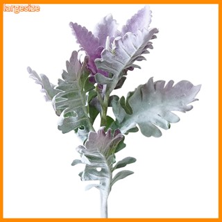 ขนาดใหญ่|  Senecio Cineraria พืชปลอม พร็อพถ่ายรูป DIY สําหรับตกแต่งบ้าน ออฟฟิศ 1 ชิ้น