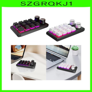 [szgrqkj1] คีย์บอร์ดบลูทูธ 12 คีย์ พร้อมลูกบิด RGB LED สําหรับเล่นเกม ออฟฟิศ PC