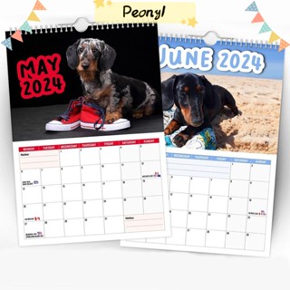 Pdony 2024 ปฏิทินแขวนผนัง ลาย Cheeky Dachshunds ของขวัญปีใหม่ สําหรับตกแต่งบ้าน