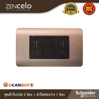 Schneider ชุดเต้ารับUSB 2ตัว+ฝาอุดช่องว่าง พร้อมฝาครอบ 3ช่อง สีน้ำตาล|Zencelo|8431USB_BZ+8430SP_BZ+8431USB_BZ+A8401LH_SZ