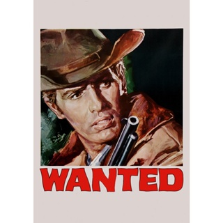 Wanted (1967)  ริงโก้ล้างชุมเสิอ DVD หนัง มาสเตอร์ พากย์ไทย