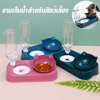 พร้อมส่ง ชามอาหาร ชามให้อาหารพร้อมน้ำสำหรับสุนัขและแมว ชามอาหารสัตว์พร้อมที่ให้น้ำอัตโนมัติ  ชามข้าว  ชามอาหาร หมา แมว  เอียง 15 องศา