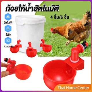 ถ้วยให้น้ำอัตโนมัติ สำหรับไก่ 4 ชิ้น 6 ชิ้น ฟาร์ม Automatic drinker