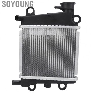 Soyoung Engine Radiator  Engine Oil Cooler Autocycle Accessories  for Replacement   Renovation  Spare