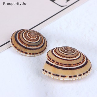 [ProsperityUs] จี้ลูกปัดเปลือกหอยธรรมชาติ 20-40 มม. 5 ชิ้น ต่อล็อต