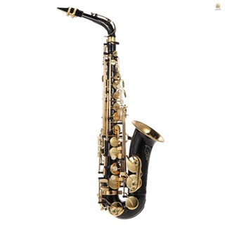 Ving) เครื่องดนตรีอัลโตแซกโซโฟนทองเหลือง Eb 82Z Key Type Woodwind พร้อมแปรงทําความสะอาด และสายคล้อง