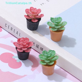 Trillioncatalpa โมเดลบ้านตุ๊กตา ขนาดเล็ก 2 ชิ้น