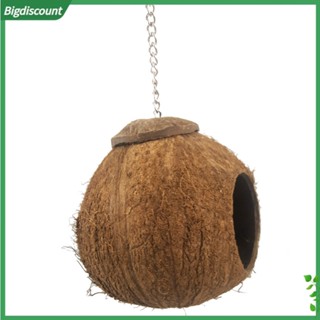 {BIG} บ้านรังมะพร้าว สําหรับนกแก้ว นกแก้ว