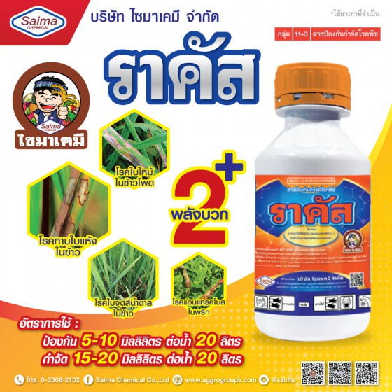 ราซัส 500ซีซี สารกำจัดเชื้อรา แก้ใบติด อย่างเฉียบขาด ตัวเดียวกับออติวา ( อะซอกซีสโตรบิน + ไดฟีโนโคนาโซล )