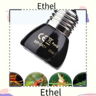 Ethel1 หลอดไฟสัตว์เลื้อยคลาน ขนาดเล็ก 20-100W