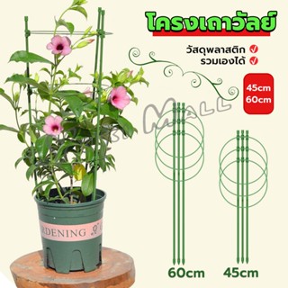 Yuki โครงเถาวัลย์ เสามะเขือเทศ โครงปลูก อุปกรณ์สำหรับพืชไม้เลื้อย 45cm 60cm plant trellis