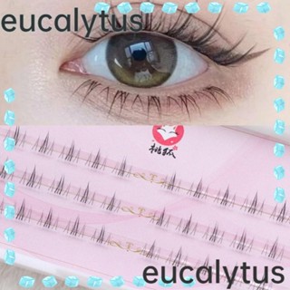 Eucalytus1 ขนตาปลอม ทรงตัว V ยาว แฮนด์เมด ใช้ซ้ําได้ สําหรับผู้หญิง