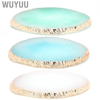 Wuyuu Resin  Pigment Mixing  Art Manicure Color  Practice