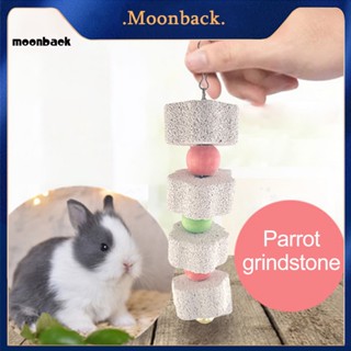 &lt;moonback&gt; แร่ธาตุฟันนก สําหรับสัตว์เลี้ยง ชินชิล่า