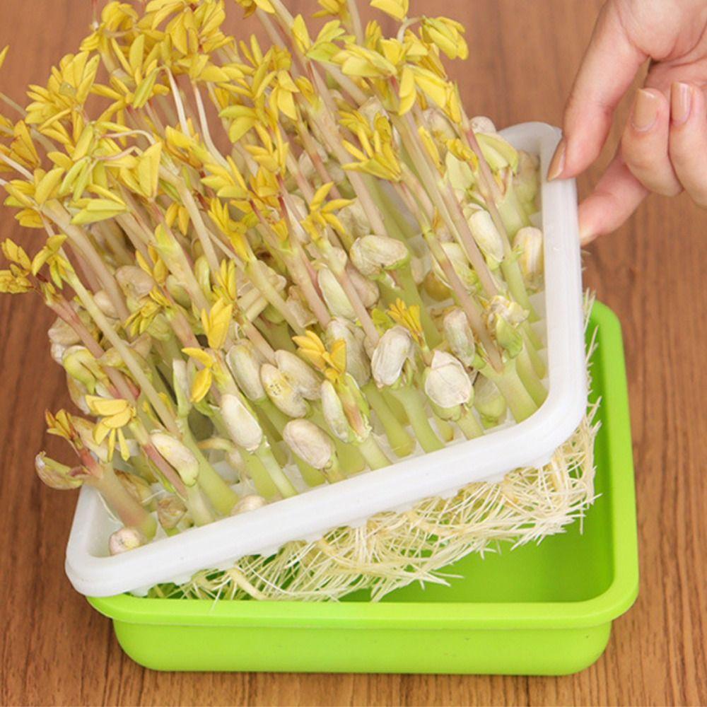 ถาดเพาะกล้า IONSKY มัลติฟังก์ชั่น 4 ชิ้น ถั่วถั่วลิสง พืชถั่วงอก ไร้ดิน การเพาะปลูกน้ํา อุปกรณ์สวน - รูปที่ 7