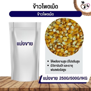 ข้าวโพดเม็ด corn kernels อาหารนก กระต่าย หนู กระต่าย กระรอก ชูก้า และสัตว์ฟันแทะ (แบ่งขาย 250G / 500G / 1KG)