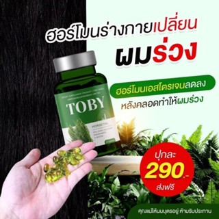 TOBY HORSETAIL หญ้าหางม้าสกัดเย็น โทบี้หางม้า แก้ผมร่วง ผมบาง หัวล้าน ผมร่วงหลังคลอด