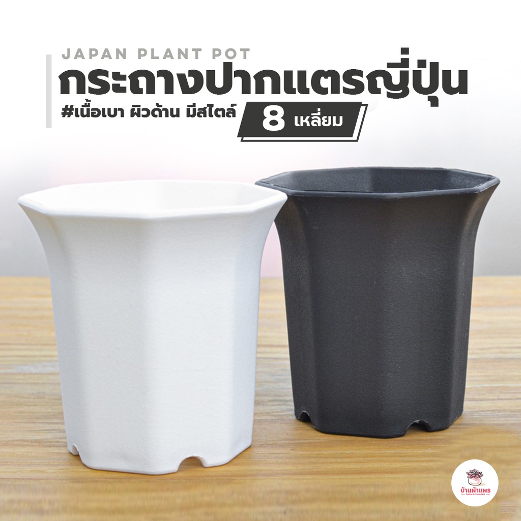 กระถางปากแตรญี่ปุ่น 8 เหลี่ยม กระถางพลาสติก แคคตัส กระบองเพชร ไม้อวบน้ำ Cactus&Succulent