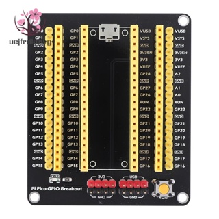 บอร์ดโมดูลขยายเซนเซอร์ภายนอก DIY สําหรับ Raspberry Pi Pico GPIO