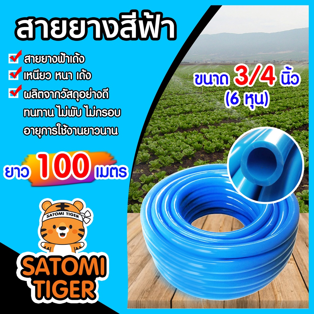 สายยางสีฟ้า ขนาด 3/4นิ้ว(6หุน) ม้วนเต็ม ยาว 100 เมตร สายยางรดน้ำต้นไม้ ยางอ่อนยืดหยุ่นพิเศษ เนื้อยางเด้ง เกรดA