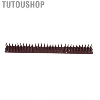 Tutoushop Bird Spike   Theft Effective Deterrence Rustproof 43cm  Harm Bird Defender Spikes Easy To Install  for Home Roofs for