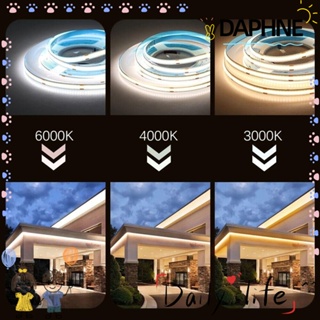 Daphne แถบไฟ Led 320 ดวง 12V 3000K 6000K มีกาวในตัว ยืดหยุ่น ความหนาแน่นสูง ของเล่น สําหรับตกแต่งบ้าน