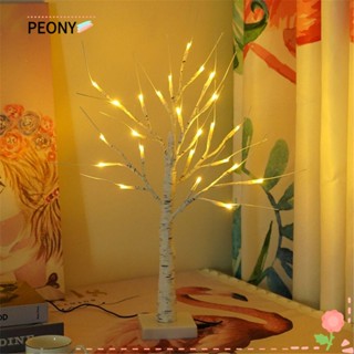 PEONYPAVILION โคมไฟ LED 60 ซม. สําหรับแขวนต้นไม้ เบิร์ช กลางแจ้ง