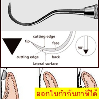 เครื่องมือทันตกรรม อุปกรณ์ดูแลช่องปาก ที่ขูดหินปูน สแตนเลสเซาะหินปูน