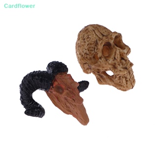 &lt;Cardflower&gt; บ้านกะโหลก แมงป่อง กุ้ง สร้างสรรค์ สําหรับตกแต่งบ้าน ตู้ปลา งานฝีมือ 1 ชิ้น