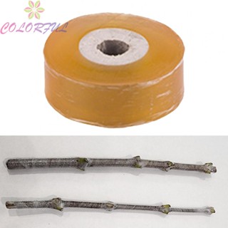 【COLORFUL】Cost effective Plastic Wrap Nursery Grafting Tape 1 Roll 0 79 inch x 262 ft