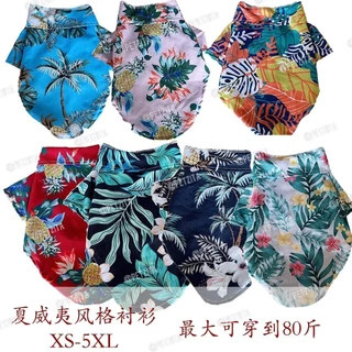 🇹🇭พร้อมส่ง🇹🇭🐶🐱🏖🏝🌞เสื้อฮาวาย ไซส์ XS-5XL เสื้อสุนัข ชุดแมว สุนัขพันธุ์ใหญ่ หมาพันธุ์กลาง หมาเล็ก