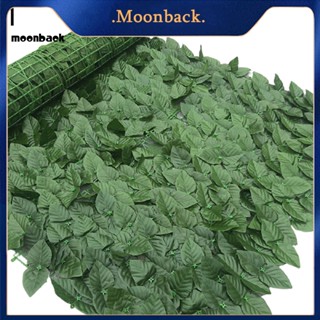 &lt;moonback&gt; ม้วนรั้วประดิษฐ์ เพื่อความเป็นส่วนตัว สําหรับตกแต่งสวน ระเบียง 50x100 ซม.