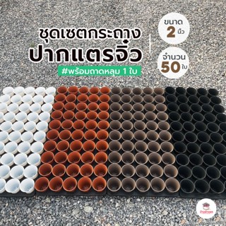 ชุดเซตกระถางปากแตรจิ๋ว 2 นิ้ว 50 ใบ พร้อมถาดหลุม 1 ใบ