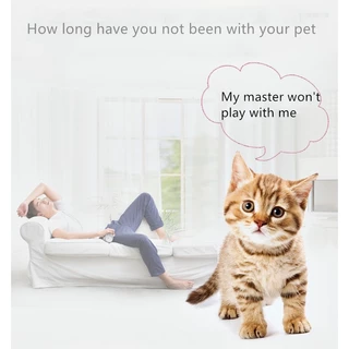 2-in-1 Mini Pet Fun ปากกาเลเซอร์ของเล่น Mini Red LED แบบพกพา Cat Wand